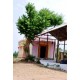 கத்தாங்கண்ணி
